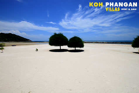 beach-kohphangan2